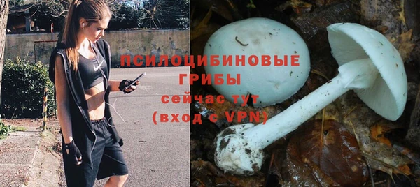 крисы Михайлов