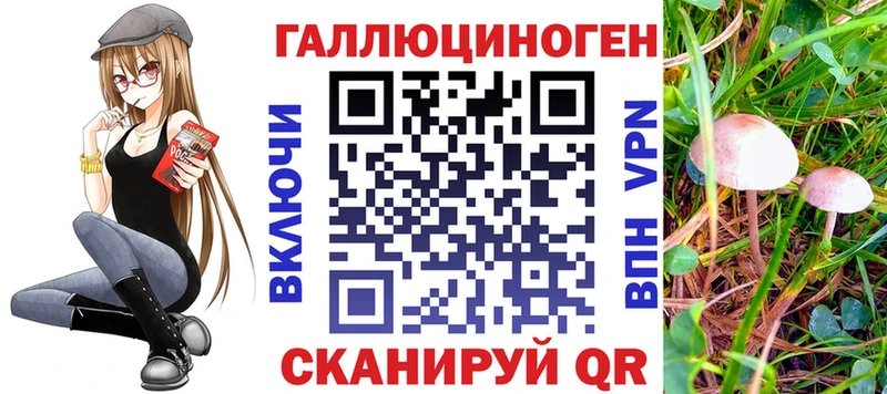 Псилоцибиновые грибы Psilocybine cubensis  наркошоп  Брянск 