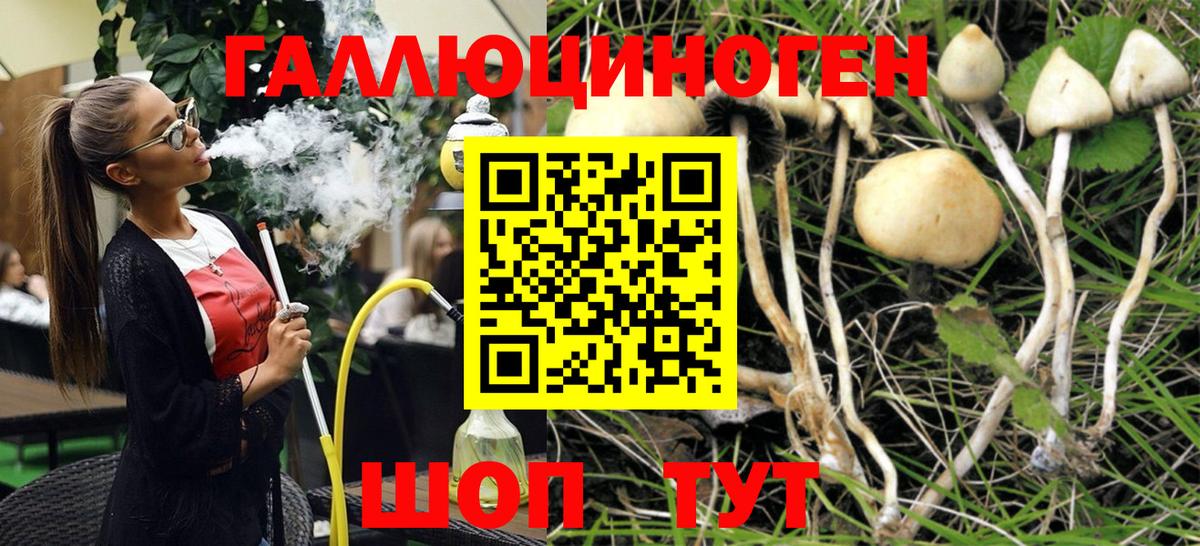 Псилоцибиновые грибы Magic Shrooms Брянск