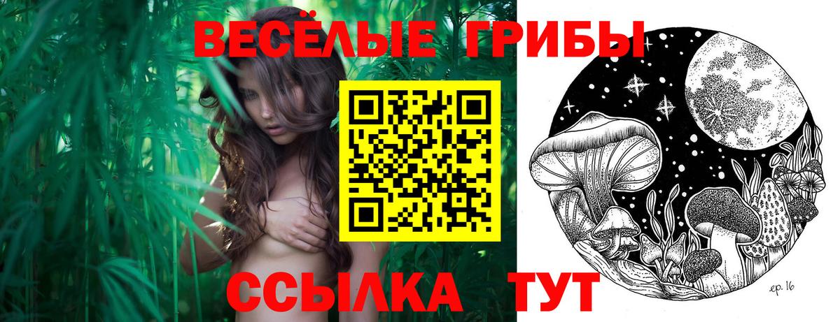 Псилоцибиновые грибы мухоморы  Брянск 